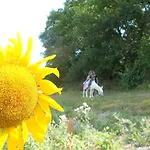 فندق مبيت وإفطار Domaine Jardin D'en Naoua Maubec (Tarn-et-Garonne)