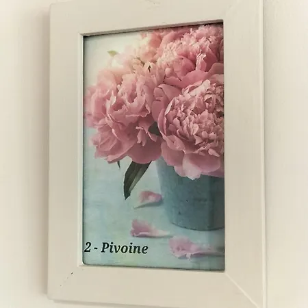 Domaine Jardin D'en Naoua ベッド・アンド・ブレックファスト Maubec