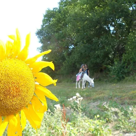 ベッド・アンド・ブレックファスト Domaine Jardin D'en Naoua Maubec